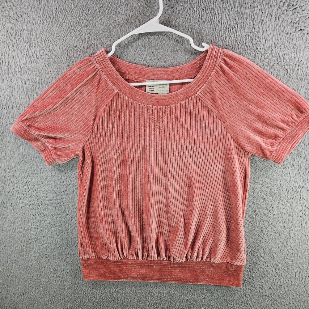 Saturday Sunday Anthropologie Pink Ribbed Velvet Puff‎ Sleeve Top Small Blouse